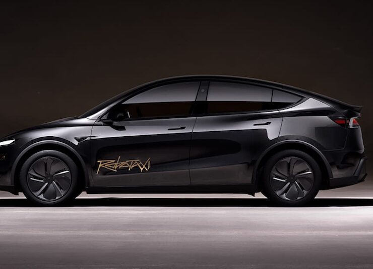 How is Tesla expected to remotely control its robotaxis, and what are its limitations?