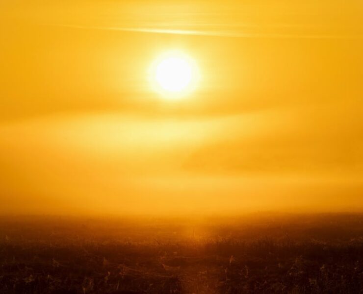 UAE: Midday work ban starts today, see penalties for violations