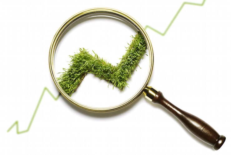 GCC captures $24bn of $1tn global green FDI: Strategy&