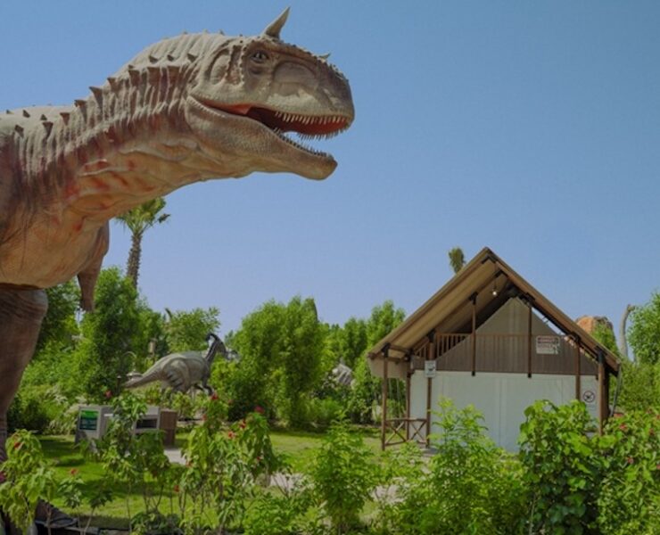 T-rex glamping