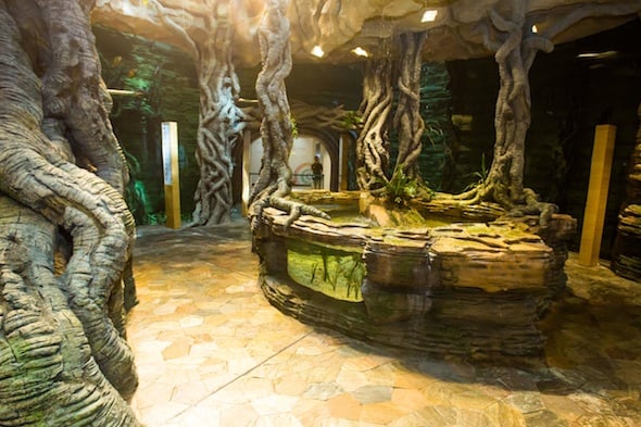 In pictures: New 'indoor rainforest’ set to open in Dubai