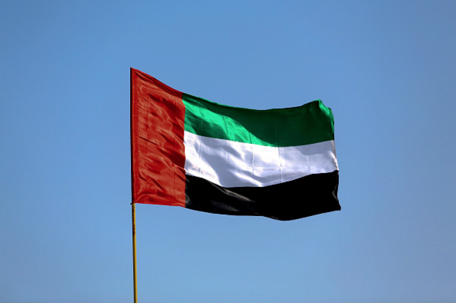 uae flag, UAE appoints Abu Dhabi Crown Prince’s son as chairman of State Security