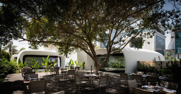 Screen Shot 2016-05-24 at 8.07.54 AM